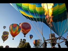 Temecula Ballon & Wine Festival