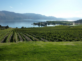 Okanagan Wine Country